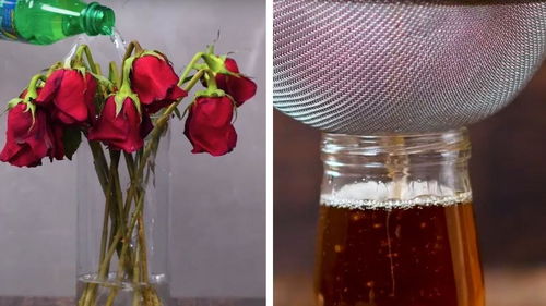 創意樂生活 生活小禮物小制作